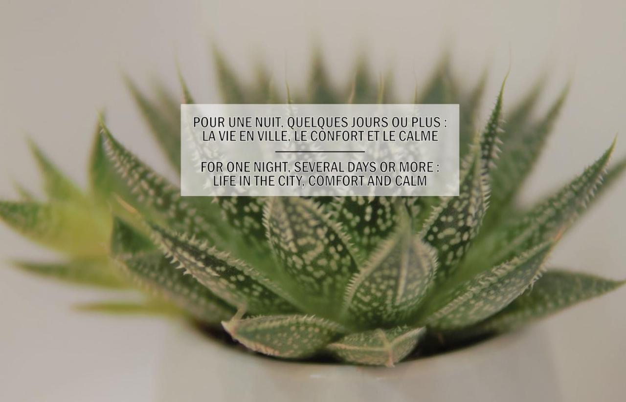 La Maisonnette De La Concorde Au Coeur De モアサック エクステリア 写真